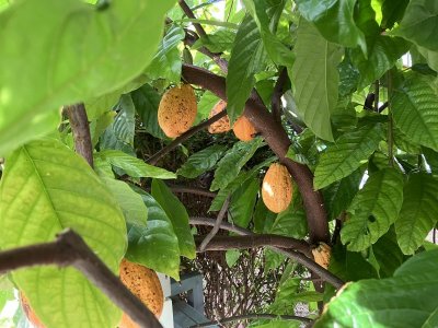 IMG_2151(1).JPEG IMG_2151(1).JPEG