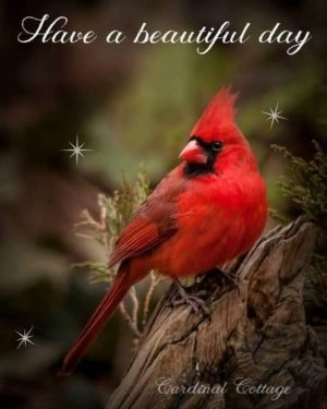 a have a beautiful day.jpg