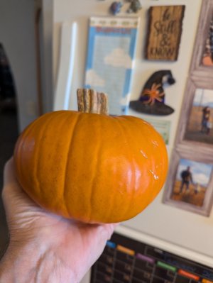 pumkin.jpg