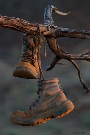 brown boots hanging.jpg