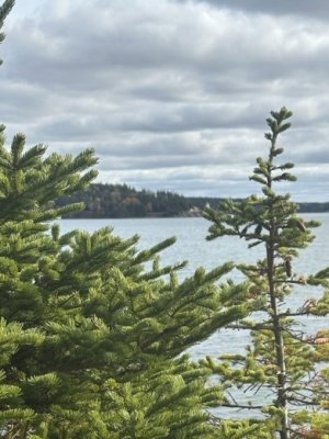 IMG_2059.jpeg IMG_2059.jpeg