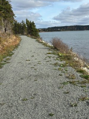 IMG_2060.jpeg IMG_2060.jpeg