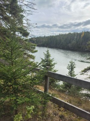 IMG_2061.jpeg IMG_2061.jpeg