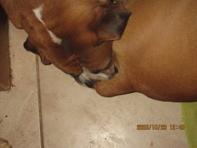 IMG_3010.JPG IMG_3010.JPG