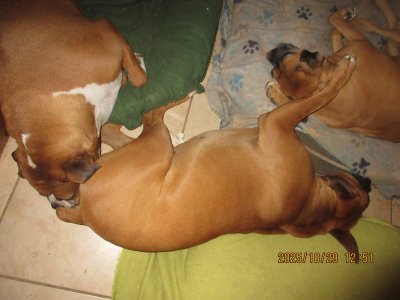 IMG_3012.JPG IMG_3012.JPG