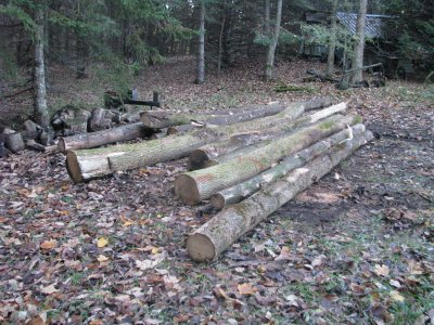 IMG_5456_3_1.JPG IMG_5456_3_1.JPG