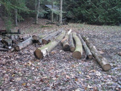 IMG_5455_3_1.JPG IMG_5455_3_1.JPG