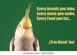 images.jpeg images.jpeg