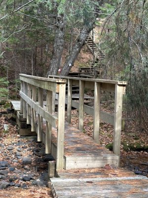 IMG_1203.jpeg IMG_1203.jpeg