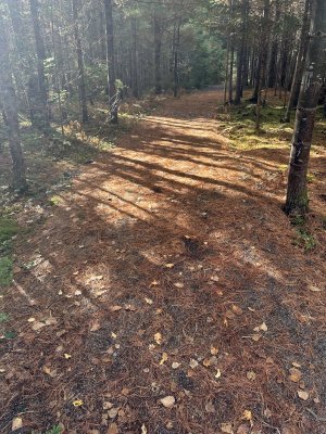 IMG_1207.jpeg IMG_1207.jpeg