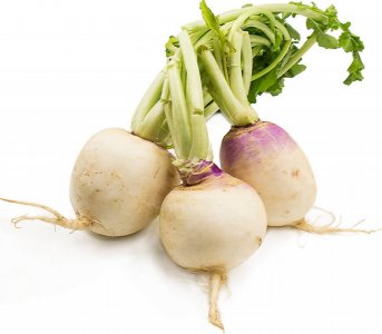 turnip.jpg