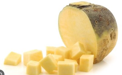 Screen Shot 2025-10-30 at 5.14.26 PM.jpg