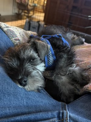 572768565_10164954816604434_2531014206307791526_n.jpg 572768565_10164954816604434_2531014206307791526_n.jpg