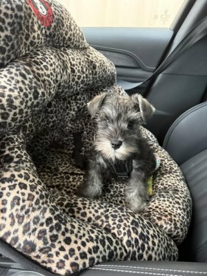 572263338_10164963384409434_2274346642204200739_n.jpg 572263338_10164963384409434_2274346642204200739_n.jpg