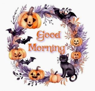 d1a2e6744cbb0e10d859eaf7ade3482d~2.jpg d1a2e6744cbb0e10d859eaf7ade3482d~2.jpg