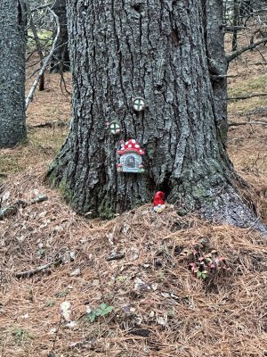 IMG_1212.jpeg IMG_1212.jpeg