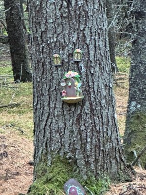 IMG_1213.jpeg IMG_1213.jpeg