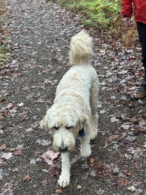 IMG_1216.jpeg IMG_1216.jpeg