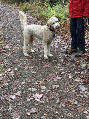 IMG_1217.jpeg IMG_1217.jpeg