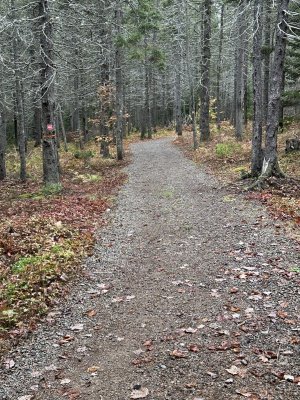 IMG_1214.jpeg IMG_1214.jpeg