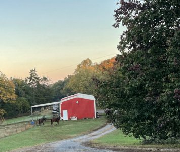 IMG_2647.jpeg IMG_2647.jpeg