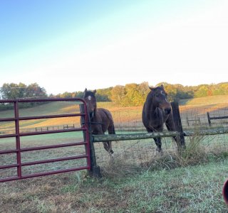 IMG_2648.jpeg IMG_2648.jpeg