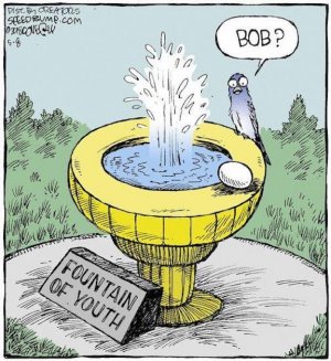 Fountain of Youth.jpg