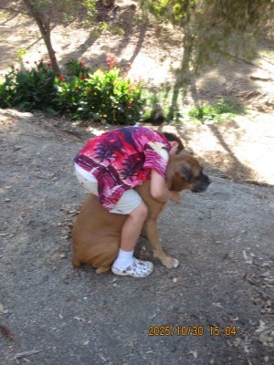 IMG_3037.JPG IMG_3037.JPG