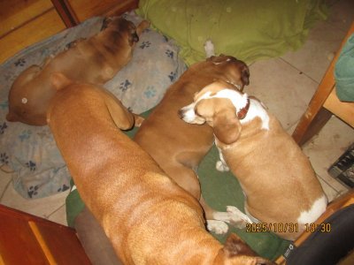 IMG_3039.JPG IMG_3039.JPG