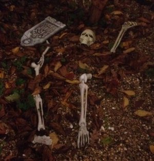 halloween101 001.JPG