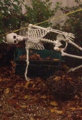 halloween101 002.JPG