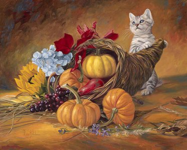 cornucipia kitten.jpg