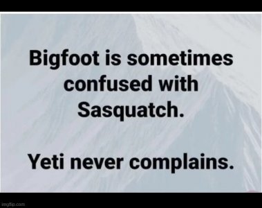 bigfoot.jpg