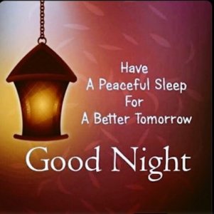 Screen Shot 2024-07-17 at 7.03.53 PM Small.jpeg