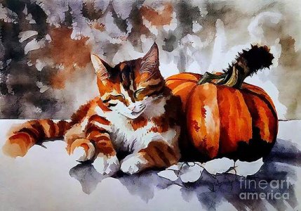 painting-autumnal-dream-cat-orange-background-aut-n-akkash.jpg