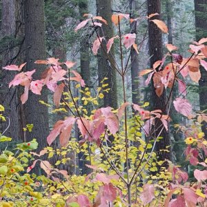 VB05240-05282-3x1v-cr3.jpg VB05240-05282-3x1v-cr3.jpg