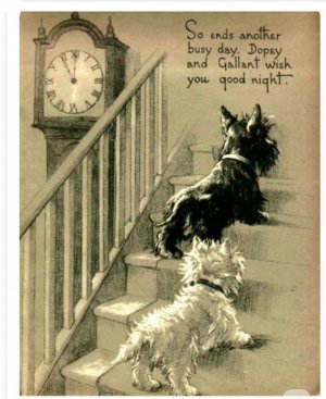 Screen Shot 2025-11-03 at 6.59.20 PM.jpg