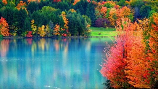 beautiful_fall_scenery_yellow_red_green_trees_reflection_on_river_hd_fall.jpg