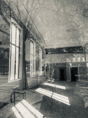 IMG_2516.jpeg IMG_2516.jpeg