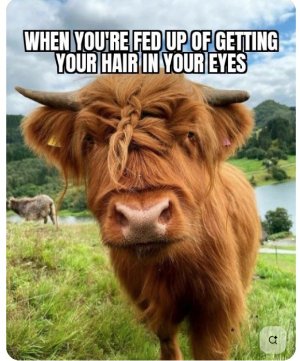 Screen Shot 2025-11-04 at 9.55.55 AM.jpg