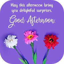 1762278072295.jpeg 1762278072295.jpeg