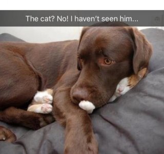 546775112_1183179647189589_6271952032240597842_n.jpg 546775112_1183179647189589_6271952032240597842_n.jpg