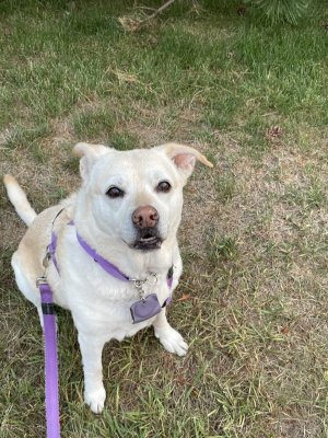 IMG_0728.jpeg IMG_0728.jpeg