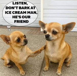 adog joke 2.jpg adog joke 2.jpg