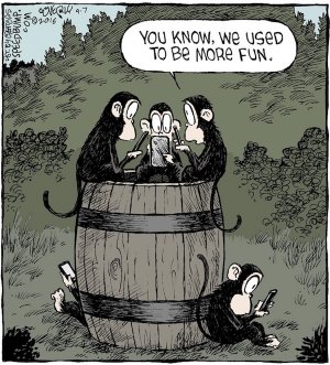 Barrel of Monkeys.jpg