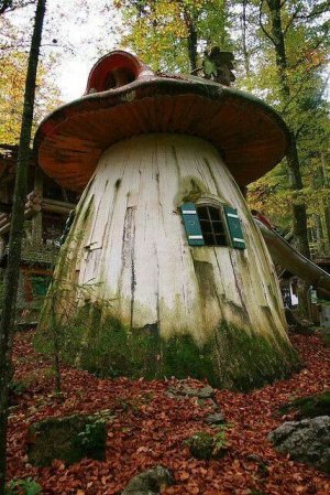 1000007983.jpg 1000007983.jpg