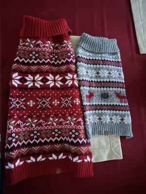 IMG_1311.jpeg IMG_1311.jpeg