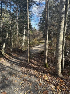 IMG_1303.jpeg IMG_1303.jpeg