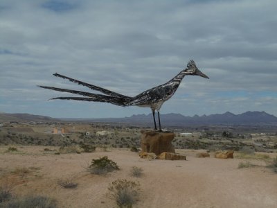 road runner.JPG