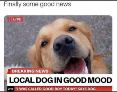 Screenshot_20240812-082048.jpg Screenshot_20240812-082048.jpg